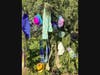 Knitted Scarves and Hats by Ann Thompson