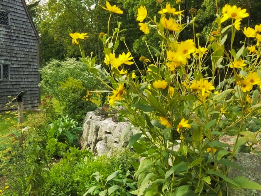 Peak House, Medfield