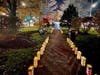 Luminary Bags light the pathways at Baxter Park