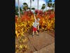 Hunter's Make A Wish Dream - in Hawaii!
