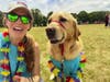 Medfield Community Day 3 Wellness/PE teacher Marissa Keleher enjoys Community Day with Wheelock service dog Franklin. 