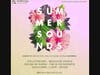 Summer Sounds Music Festival