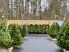 Medfield Lions Christmas TREE and WREATH Lot at St. Edward (back lot)