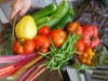Medfield Community Garden