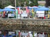 Discover Medfield Day
