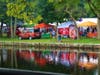 Discover Medfield Day