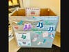 Knock Knock, Sock Collection at the Medfield Public Library