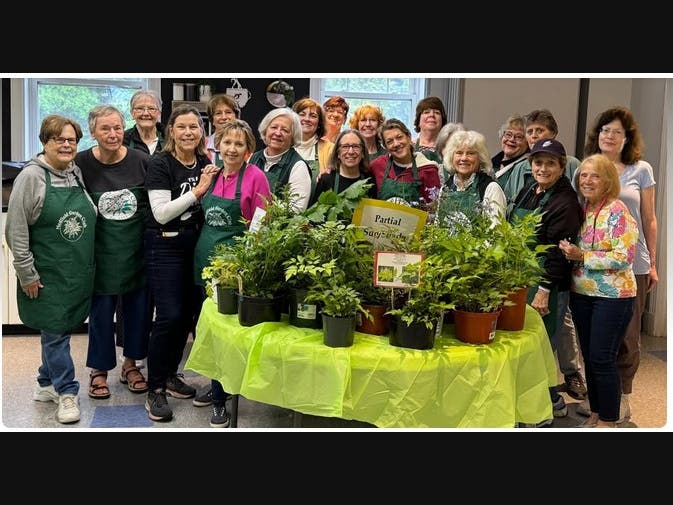 Medfield Garden Club Annual Spring Plant Sale