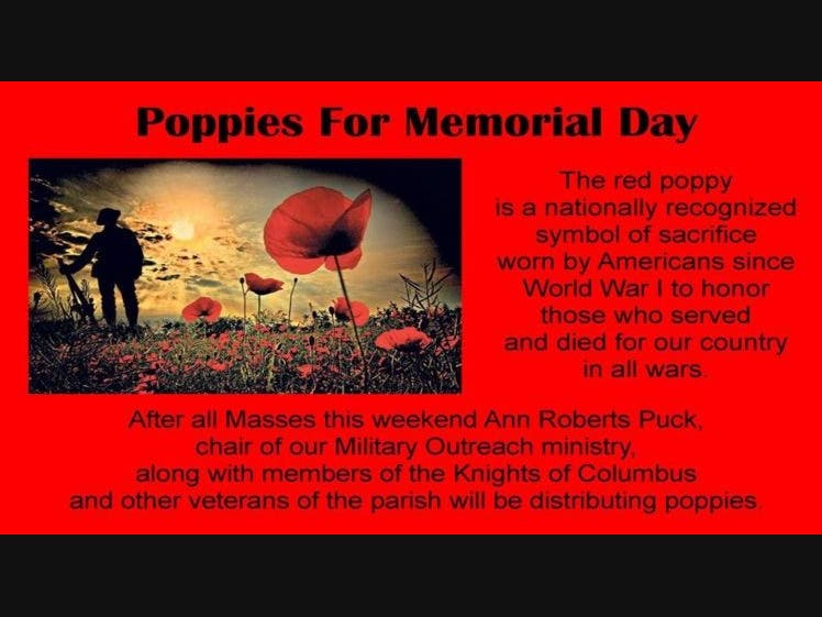 Poppies for Memorial Day