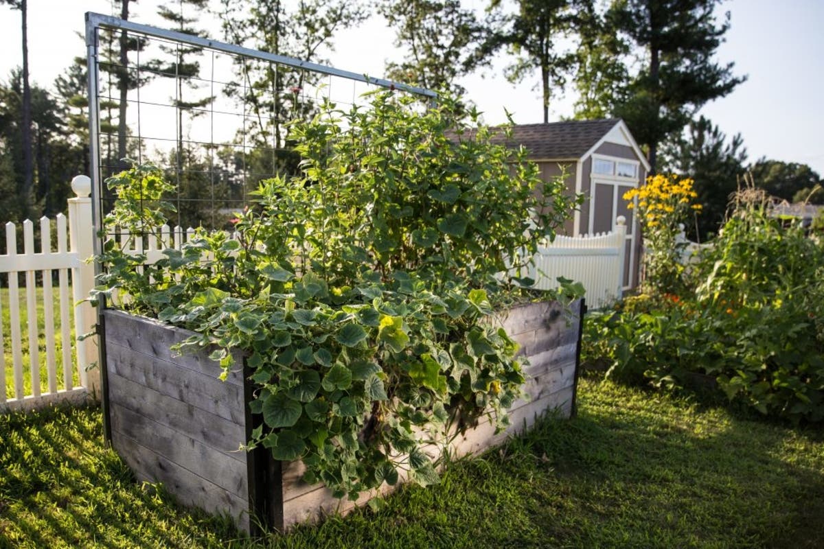 One of four raised vegetable beds at the community