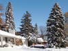 No artificial decorations required!
