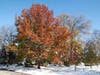  This shows how early the snow came this year.