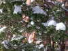 Beginning to look a lot like Christmas.