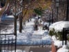 I saw quite a few people shoveling snow.