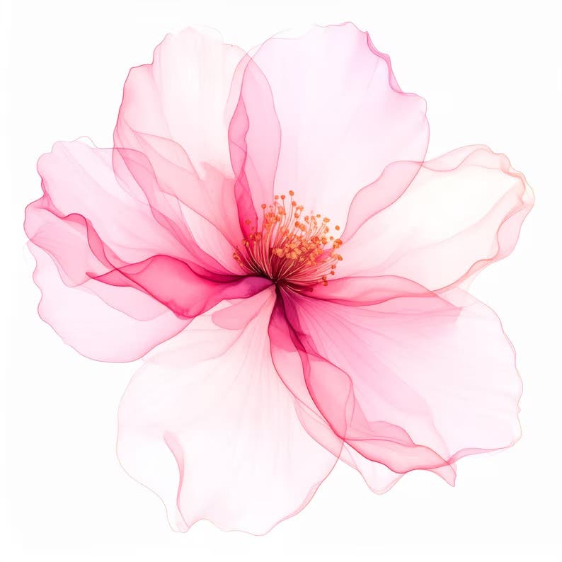 Transparent Watercolor Flowers Adult Class Series