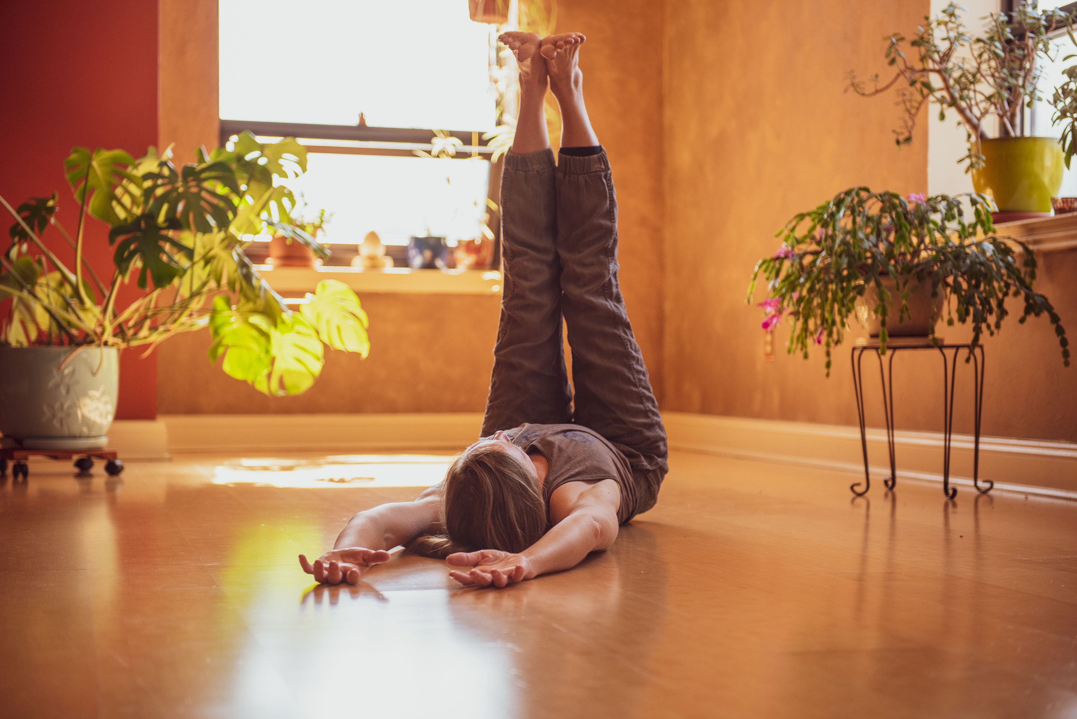 Yoga and Meditation Basic 4 week Series