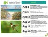 August Library Events for Adults