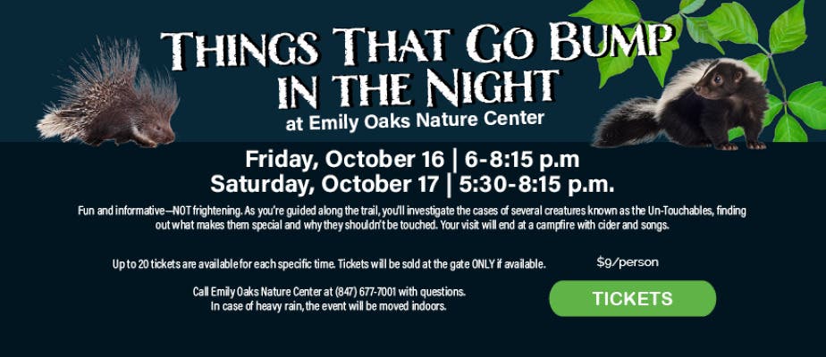 Things That Go Bump in the Night