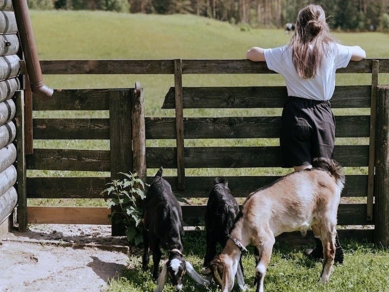 Sanctuaire Farms, located on 461 acres near Ball Ground, Ga., will give residents a uniquely curated and vibrant lifestyle with world-class amenities on lots of 5-20+ acres. www.sanctuairefarms.com 