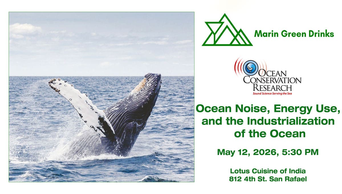 How Ocean Noise Is Changing Our Blue Planet