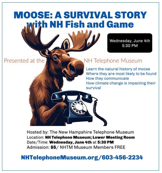 ​​Moose: A SURVIVAL STORY