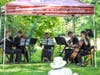 Designed to be performed in intimate settings rather than large concert halls, chamber music typically features one player per part and is played without a conductor