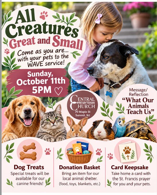 Blessing of the Animals