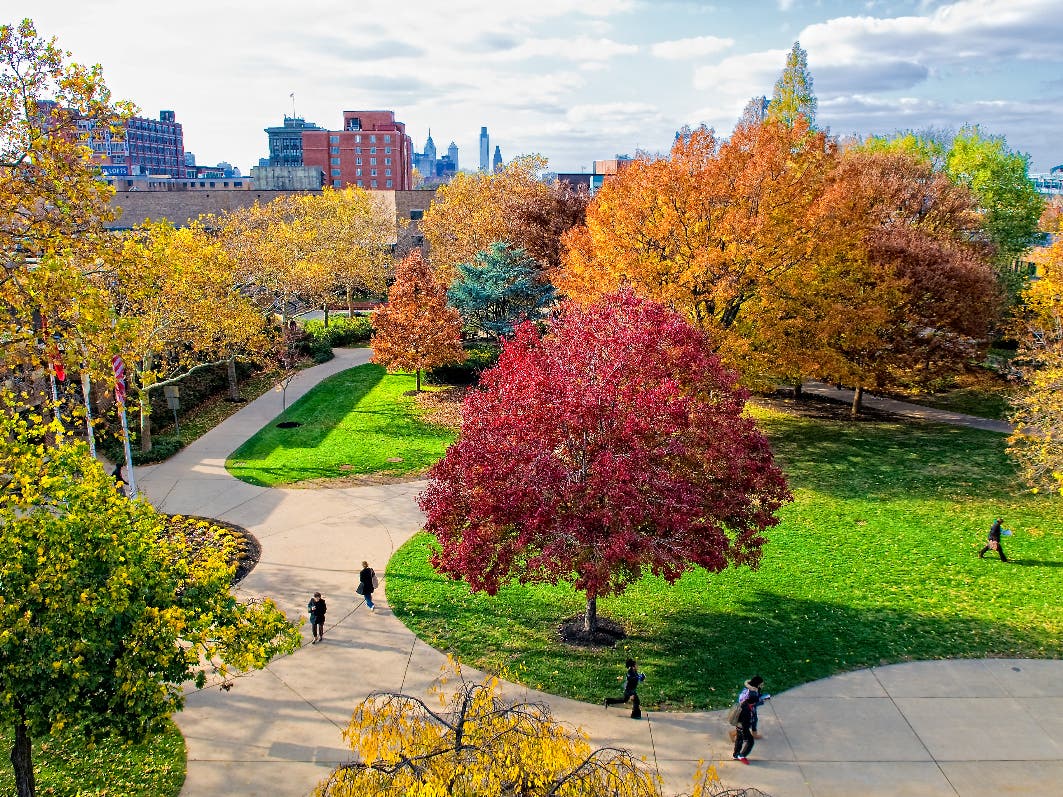 areal view of quad, fall, leaves changing color
