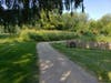 Companion gardens help to keep flowers and crops healthy, while also encouraging a greater yield of blooms and vegetables.