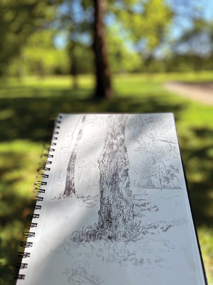 Gestural Landscape:  Charcoal Sketching in the Garden 