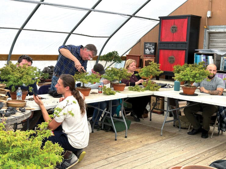 Bonsai Essentials 1: Beginner's Workshop with Peter Olson
