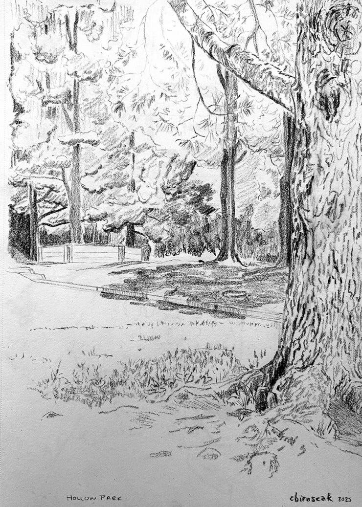 Grounded in Nature:  A Mindful Plein Air Sketching Workshop
