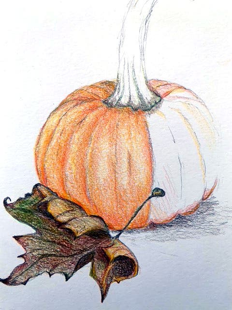 Nature Drawing at Blithewold