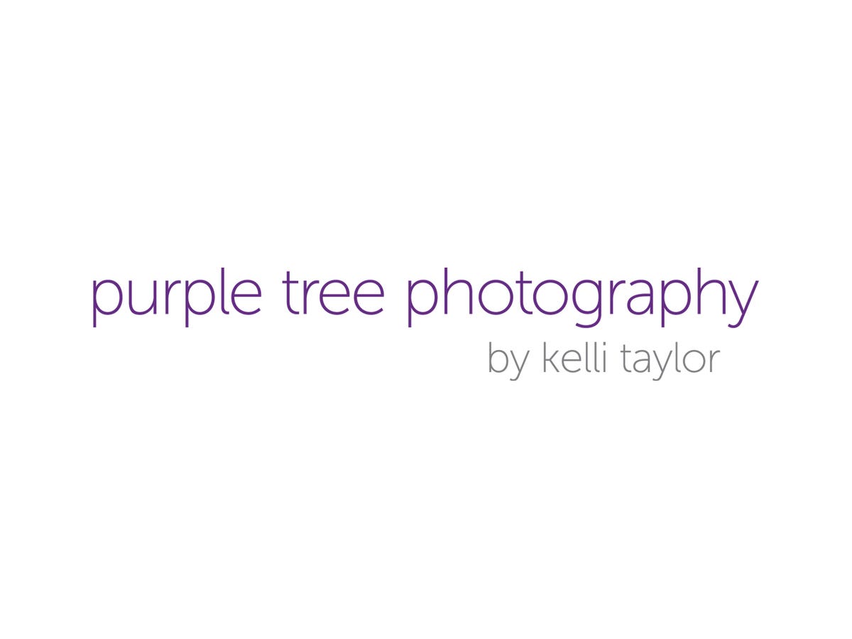 Purple Tree Photography