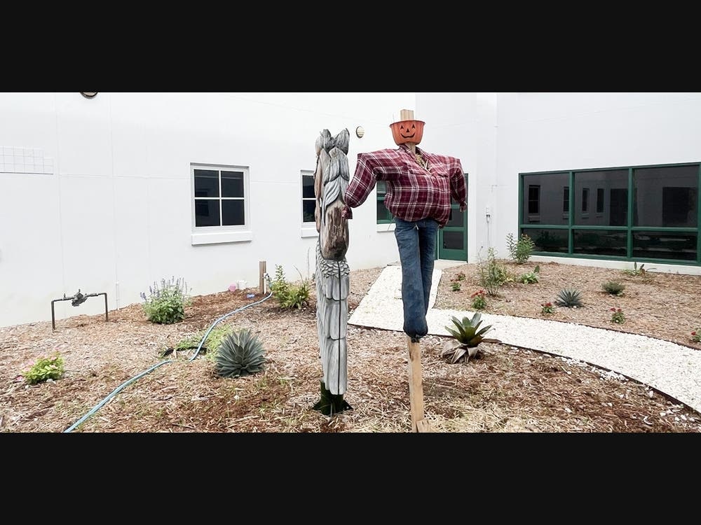The Lakewood Ranch High School butterfly garden was in need of little tender loving care