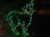 Zoolights wolf
