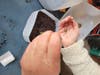 The 28 species were hand-sowed for the upcoming spring project.