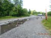 Geese in the water near the street