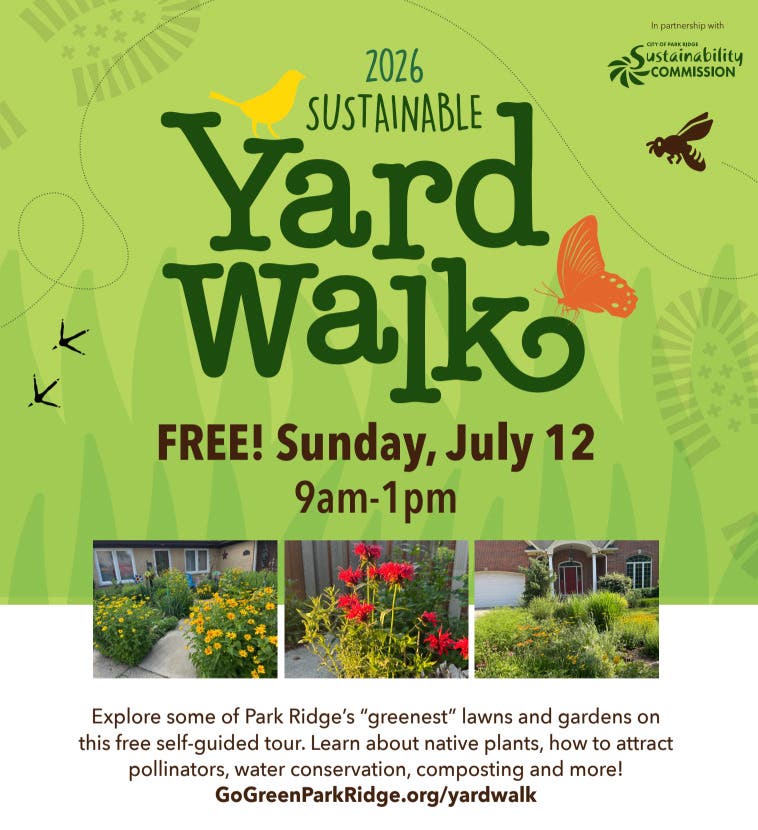 Sustainable Yard Walk (and Bike Ride!)