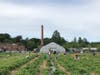 Waltham Fields Community Farm