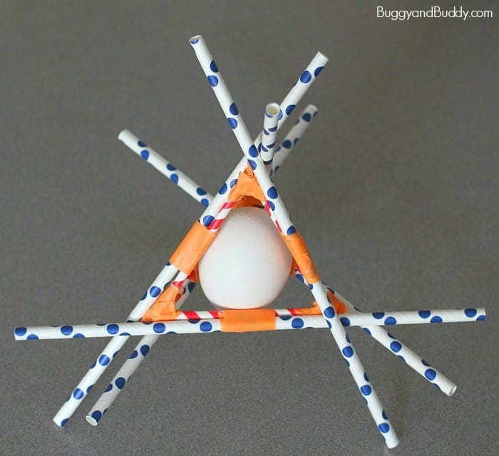 Family Egg Drop Challenge 