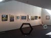 Anniversary Show celebrates Fine Line and Water Street Studios.