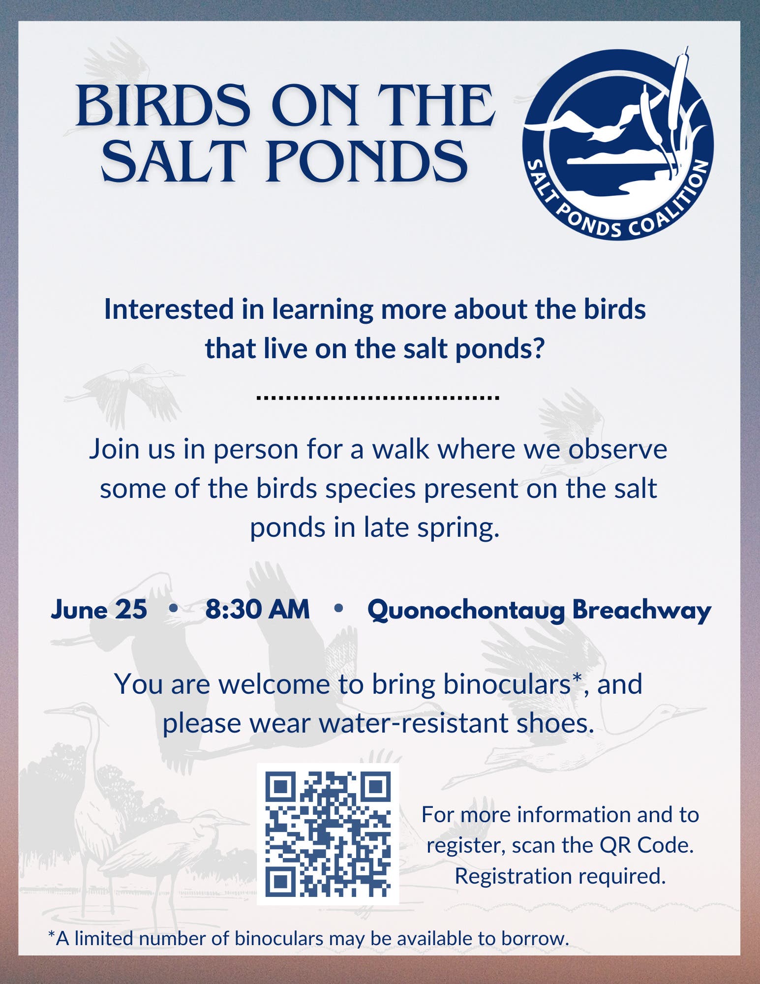 Birds On The Salt Ponds