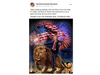 Image of Donald Trump riding lion holding American flag; shared by Fairfield Republican RTM candidate Tameisha Powell-Dunmore the day before what should have been a ceremonial congressional certification of Joe Biden’s Electoral College win
