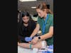 A participant practices venipuncture technique on a simulated arm with guidance from an MWU student mentor.