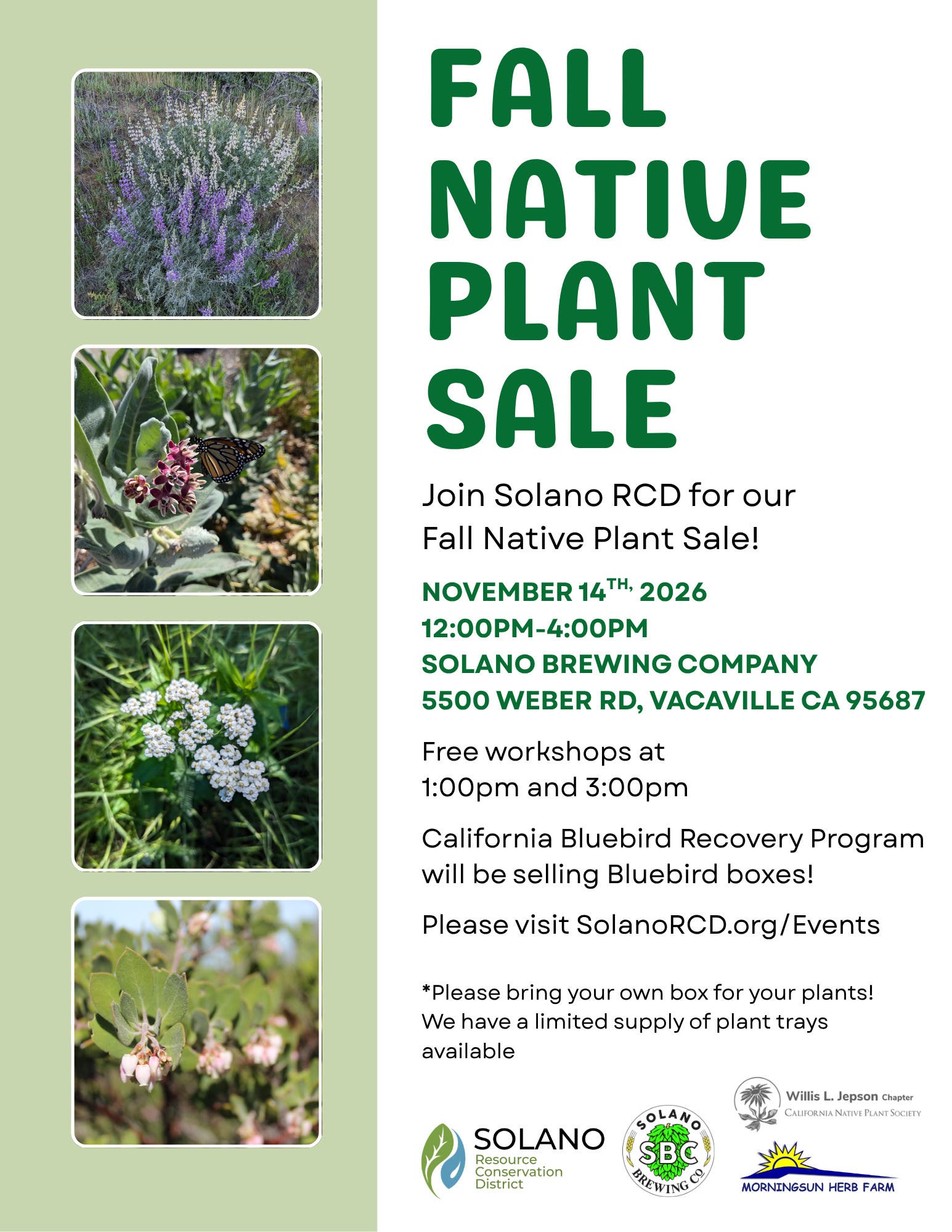 Fall Native Plant Sale