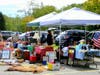 2018 Weston Flea