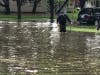 "Is that a fish?" Karlov Avenue, Oak Lawn