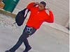 Home surveillance images of a man police say sexually assaulted a 14-year-old girl in Burbank, IL on Sept. 9, 2019.