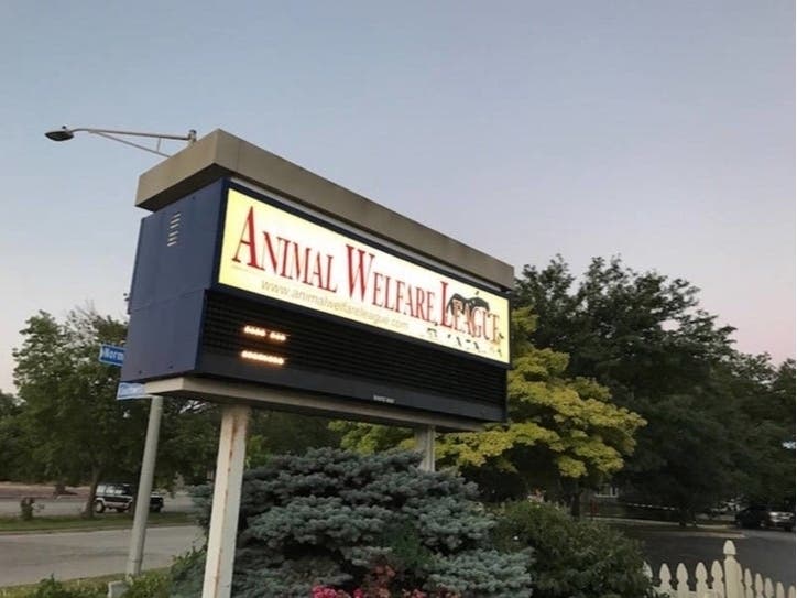 Three more Animal Welfare League employees saw their euthanasia licenses suspended by the state. 